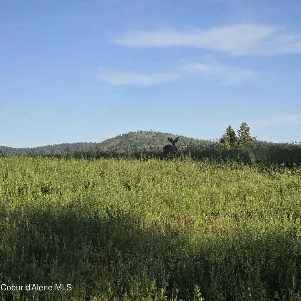 Nka 2 Sunrise Drive Harrison ID 83833