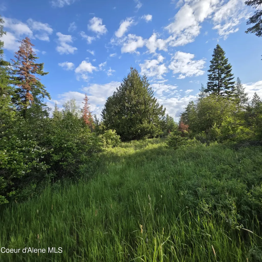 Nka 2 Sunrise Drive Harrison ID 83833