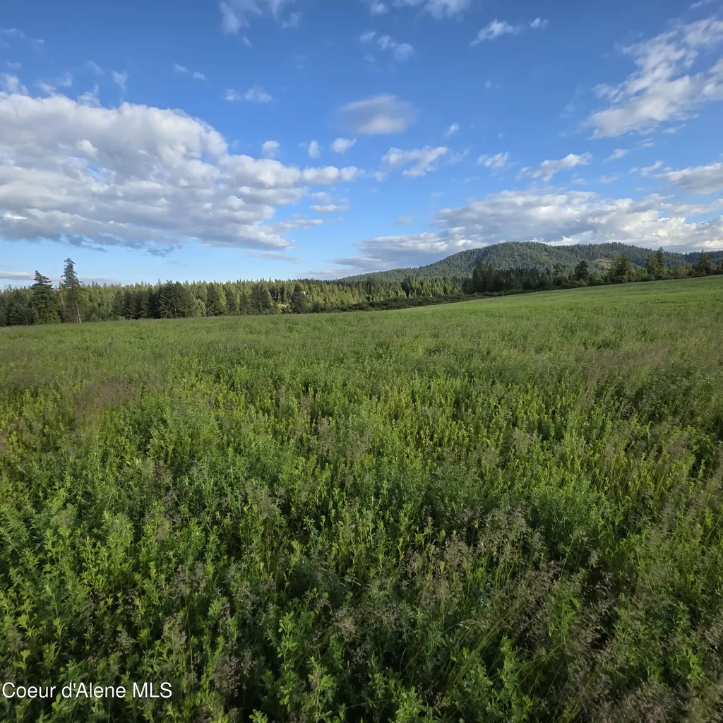 Nka 2 Sunrise Drive Harrison ID 83833