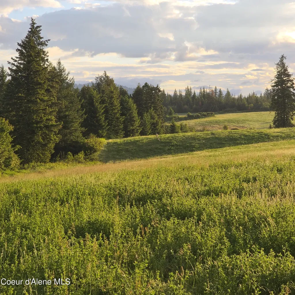 Nka 1 Sunrise Drive Harrison ID 83833