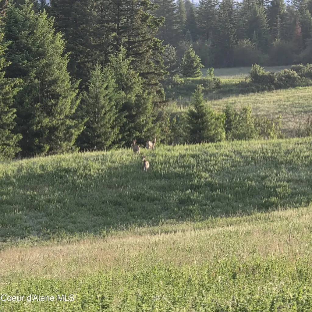 Nka 1 Sunrise Drive Harrison ID 83833