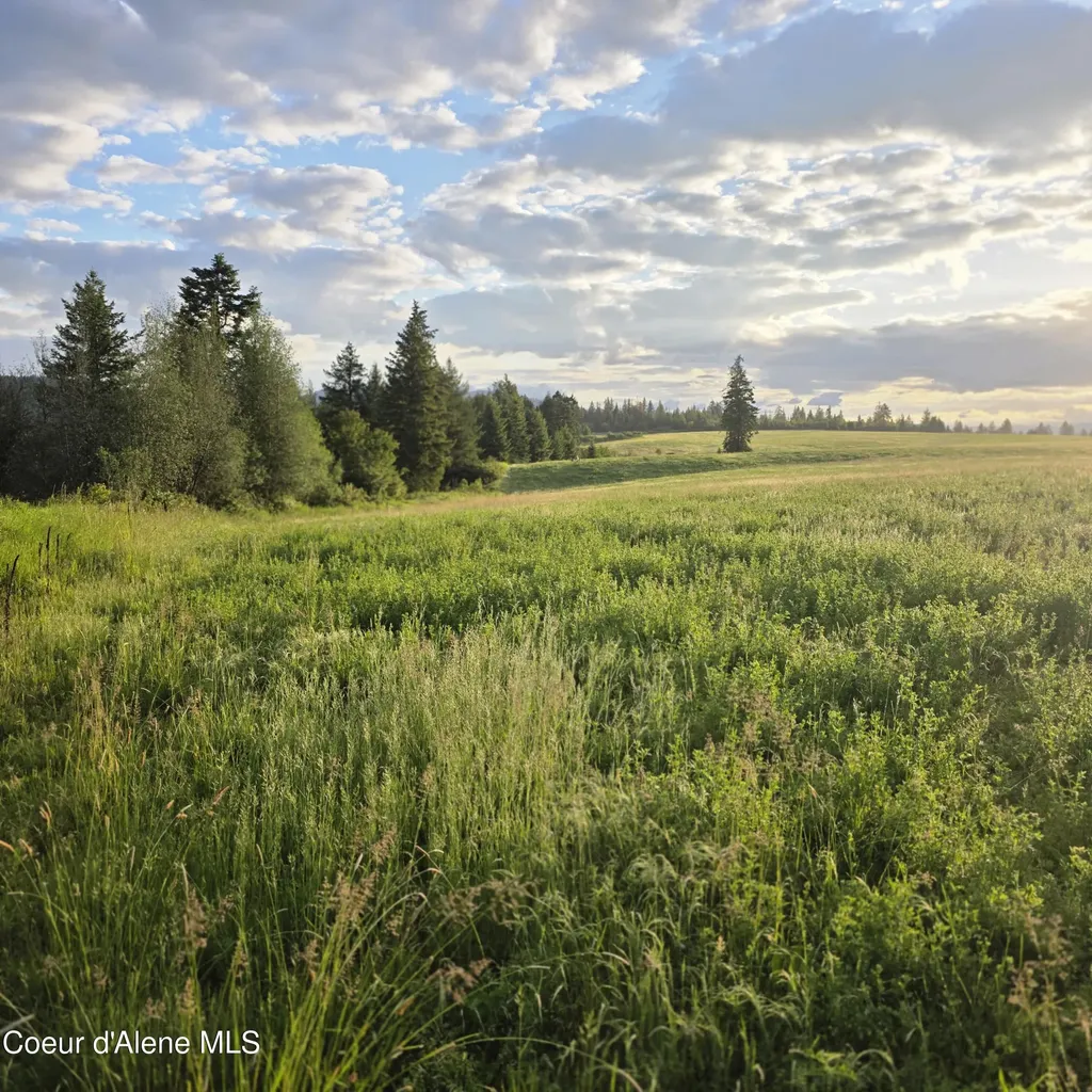 Nka 1 Sunrise Drive Harrison ID 83833