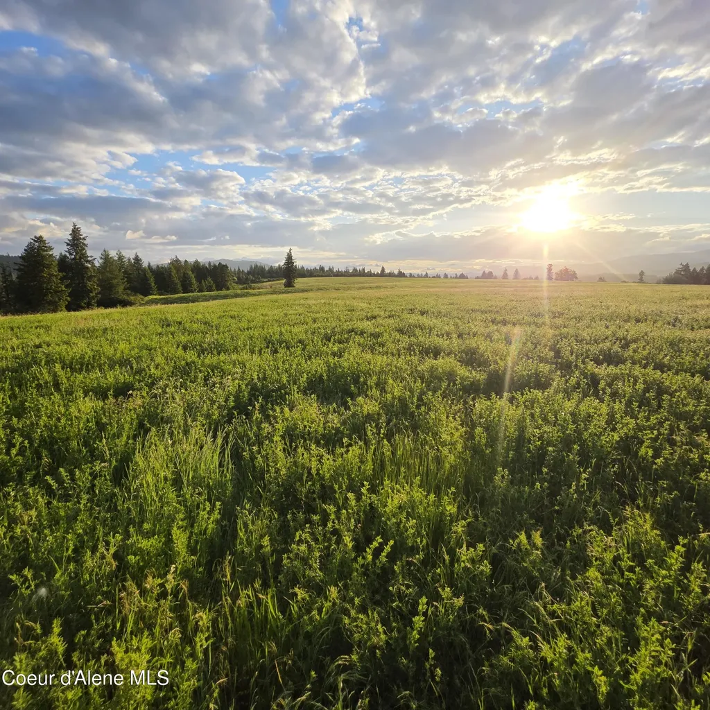 Nka 1 Sunrise Drive Harrison ID 83833