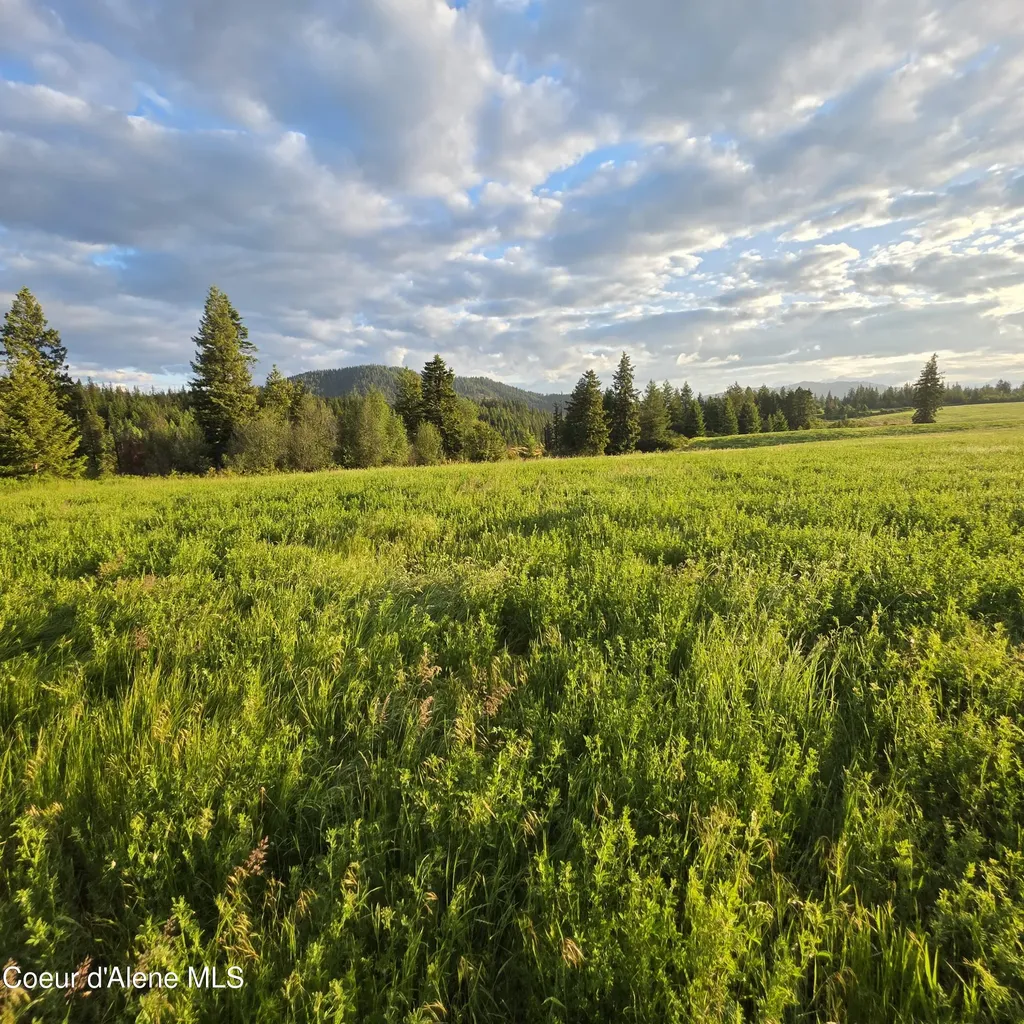 Nka 1 Sunrise Drive Harrison ID 83833