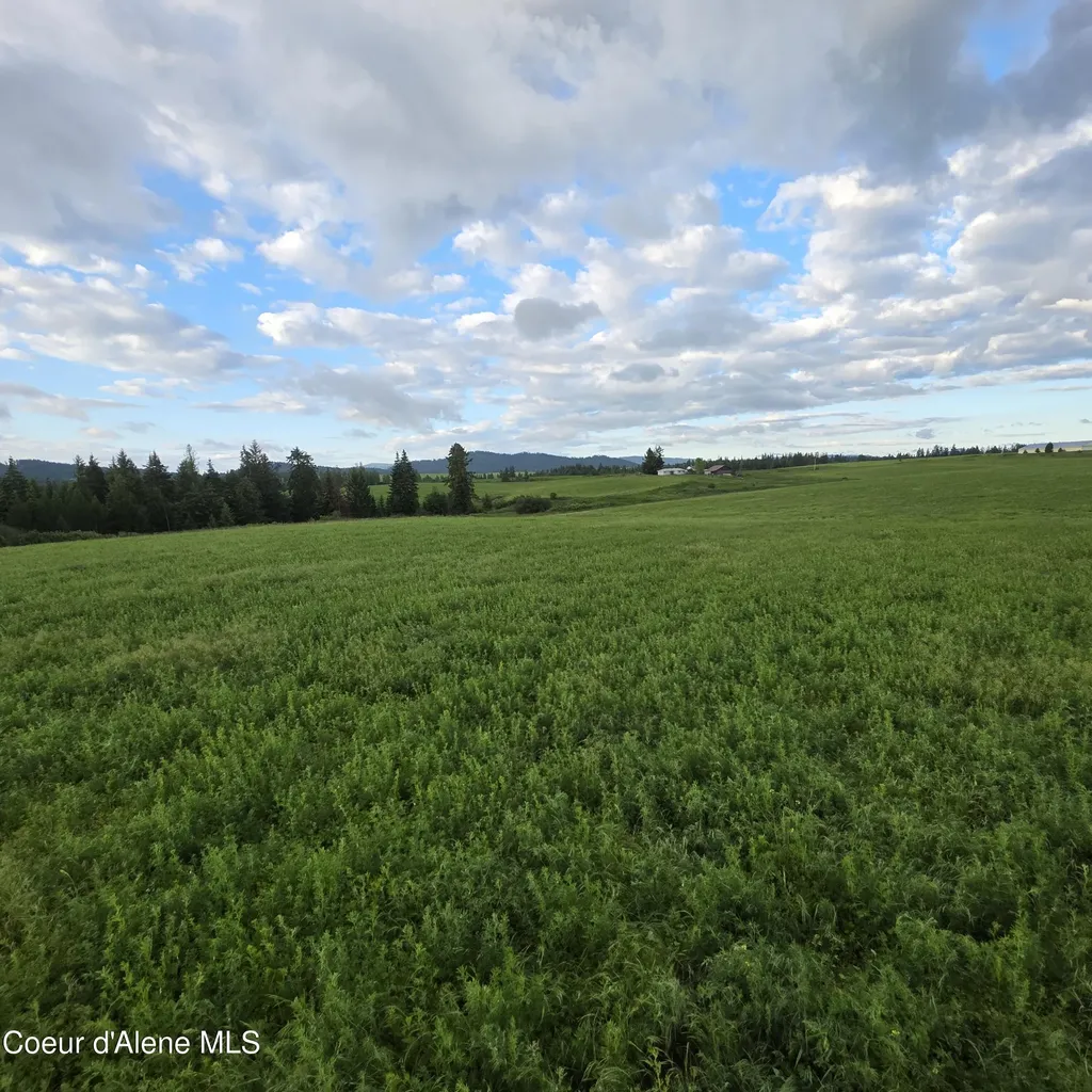 Nka 1 Sunrise Drive Harrison ID 83833