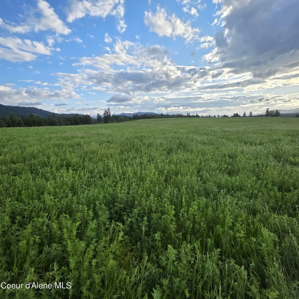 Nka 1 Sunrise Drive Harrison ID 83833