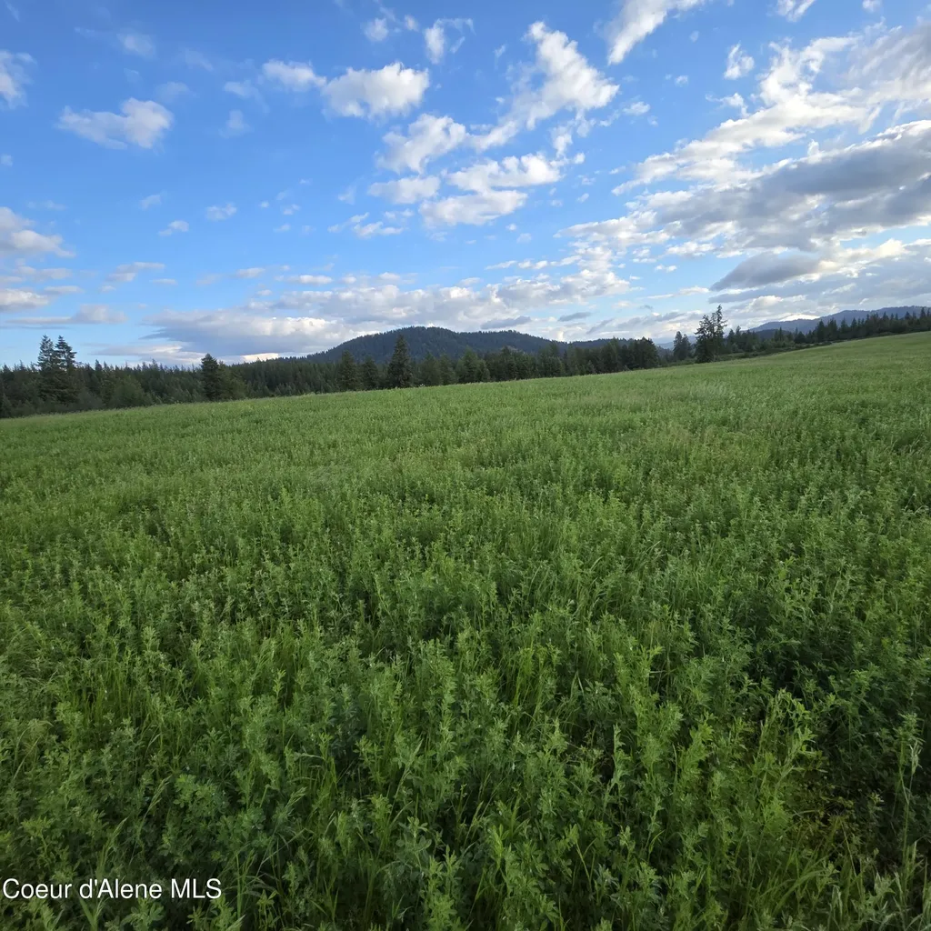 Nka 1 Sunrise Drive Harrison ID 83833