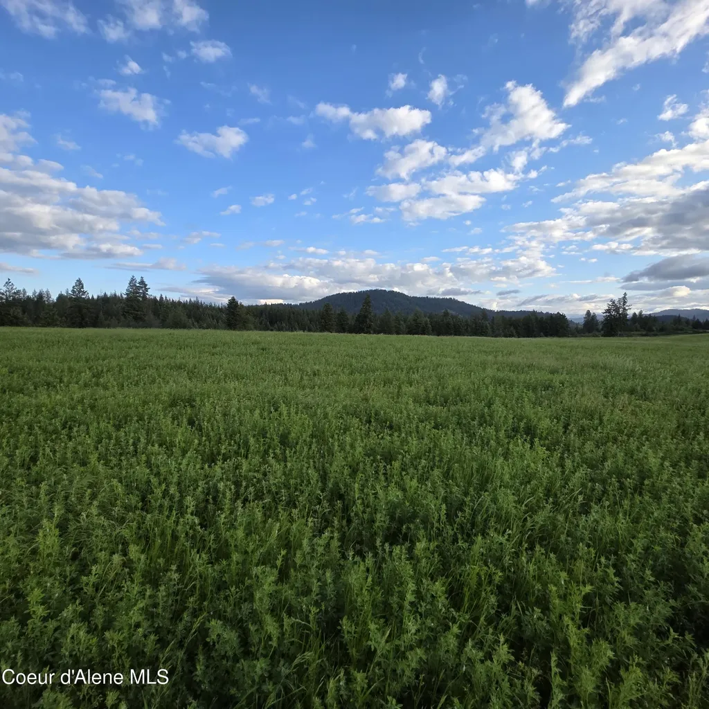 Nka 1 Sunrise Drive Harrison ID 83833