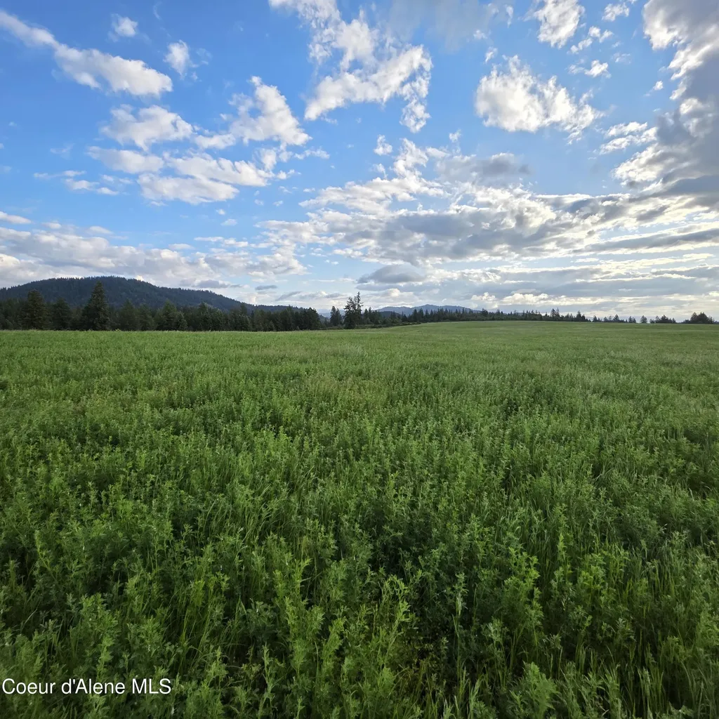 Nka 1 Sunrise Drive Harrison ID 83833