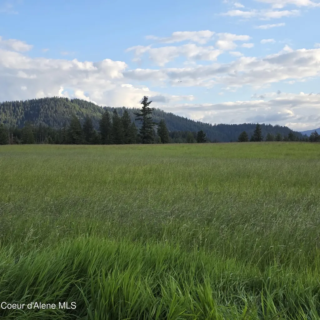 Nka 1 Sunrise Drive Harrison ID 83833
