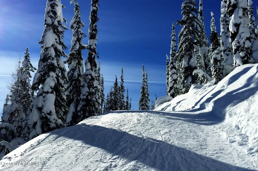 Nna Tall Timber B1 L2 Sandpoint ID 83864