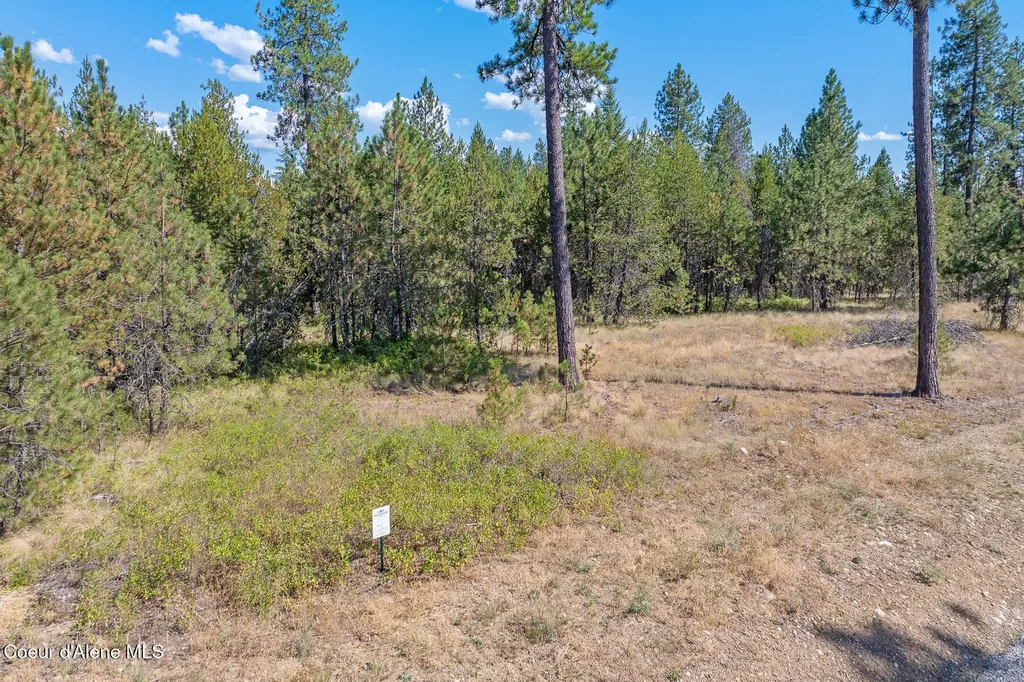 Lot 4 Dawson Lp Athol ID 83801
