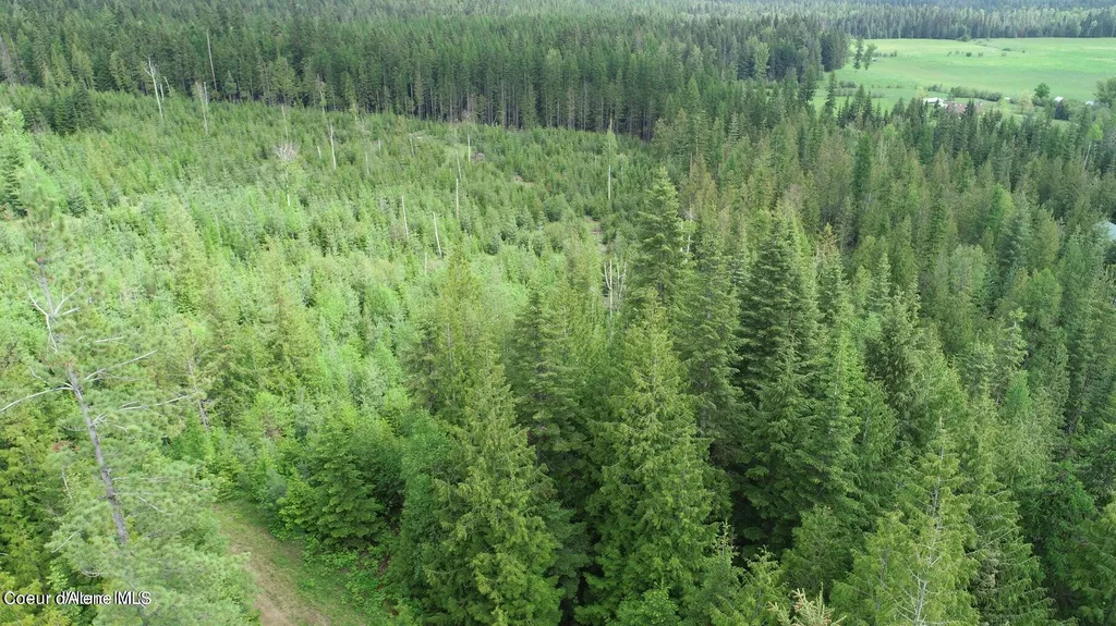 Nka Ropp Road Priest River ID 83856