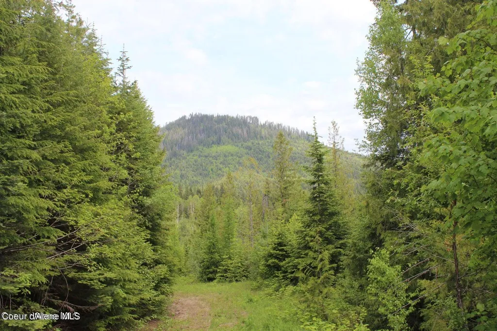 Nka Ropp Road Priest River ID 83856