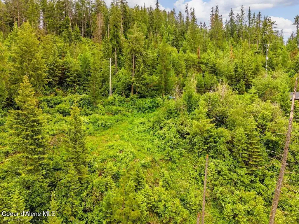 Nna S Powderhorn Bay Road Harrison ID 83833