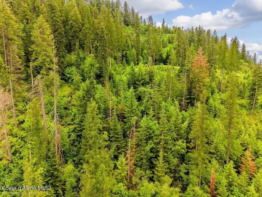 Nna S Powderhorn Bay Road Harrison ID 83833