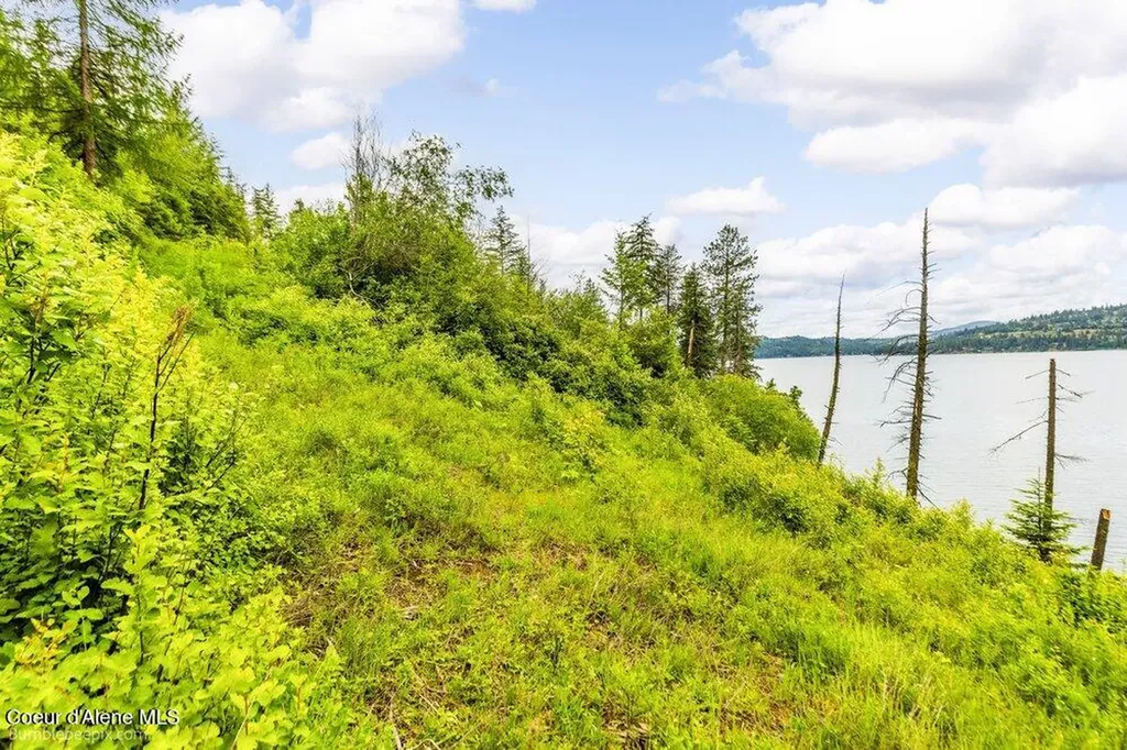 Nna S Powderhorn Bay Road Harrison ID 83833