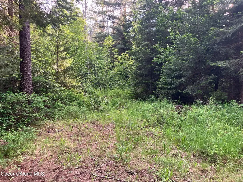436 Jasper Meadow Lane Priest River ID 83856