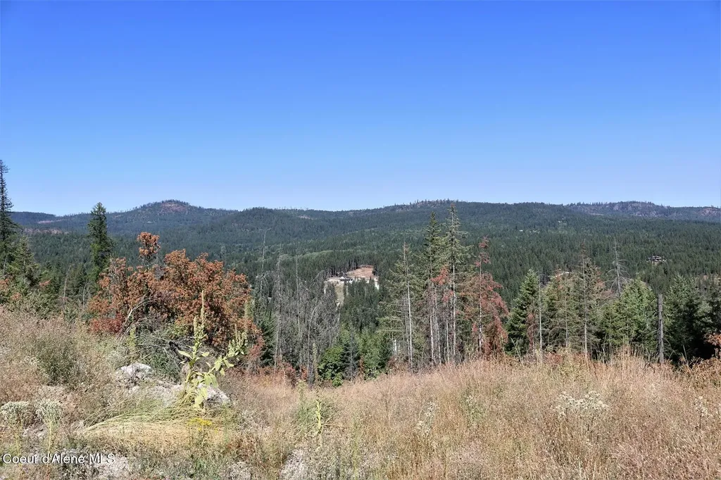 700 Outlook Drive Cocolalla ID 83813