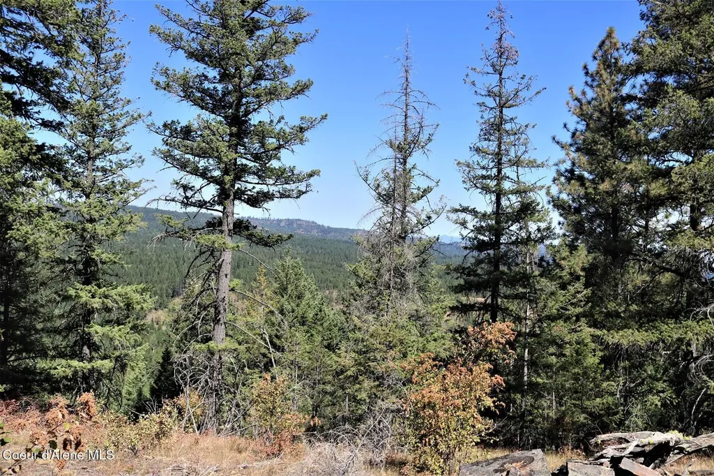 700 Outlook Drive Cocolalla ID 83813
