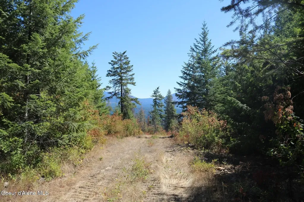 700 Outlook Drive Cocolalla ID 83813