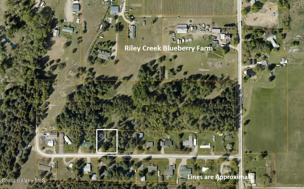 169 Shelby Road Laclede ID 83841