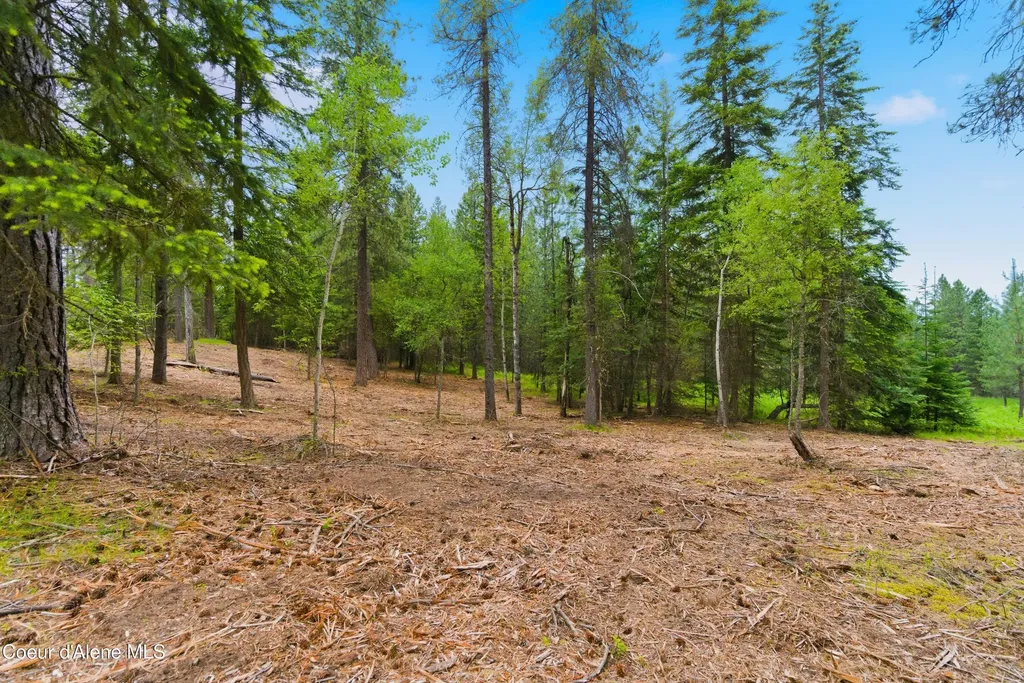 Parcel C S Dunlap Road Harrison ID 83833