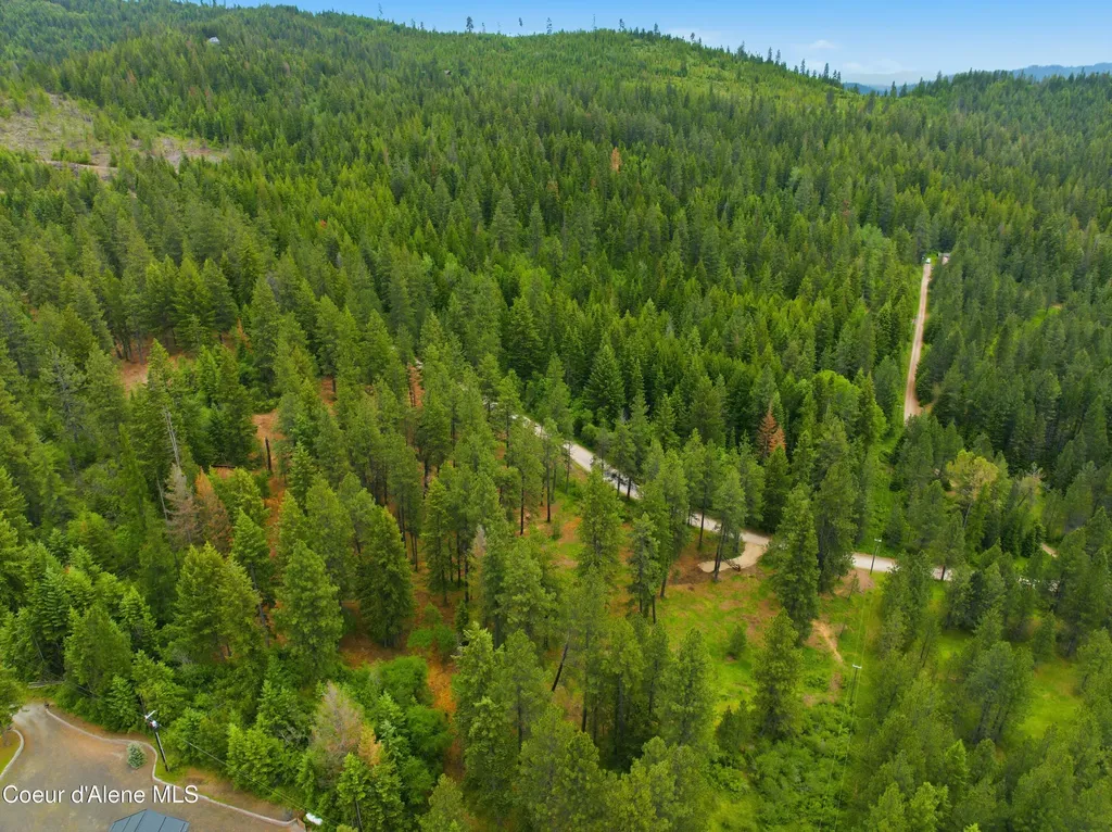 Parcel C S Dunlap Road Harrison ID 83833