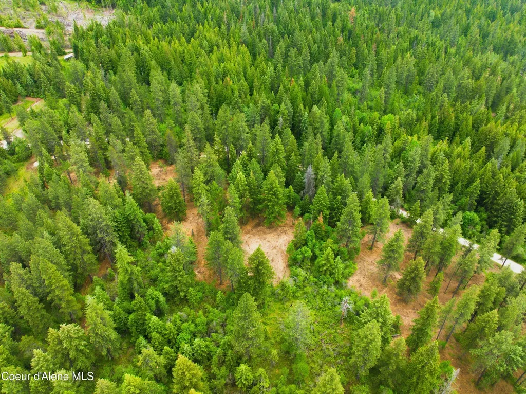 Parcel C S Dunlap Road Harrison ID 83833