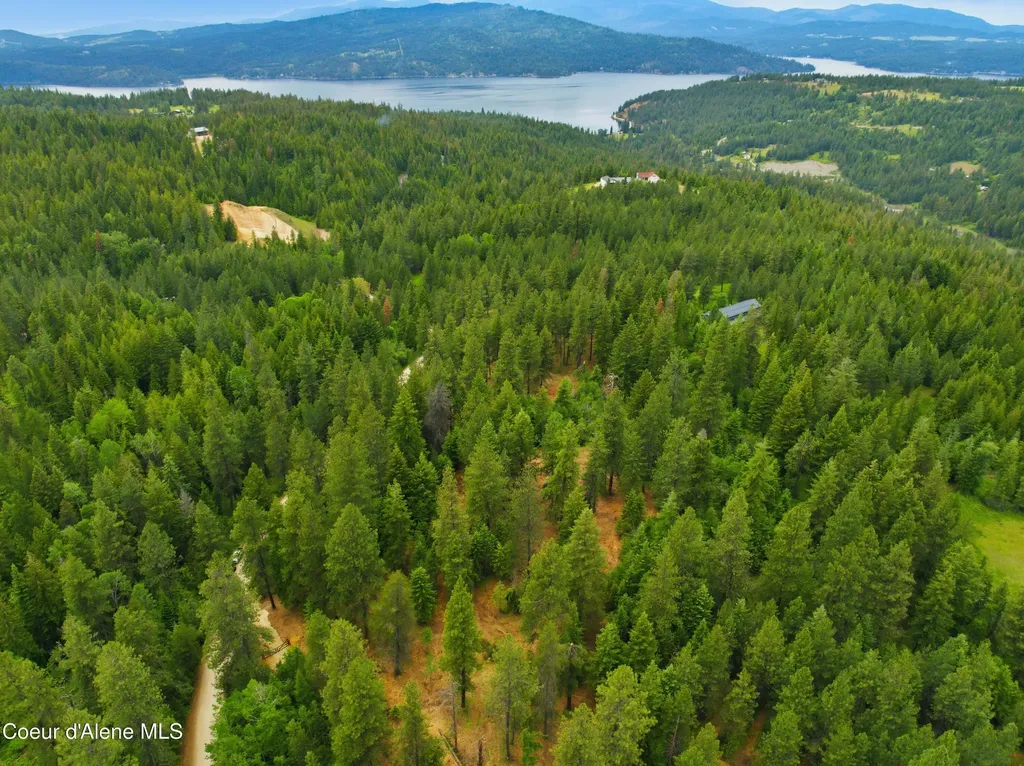 Parcel C S Dunlap Road Harrison ID 83833
