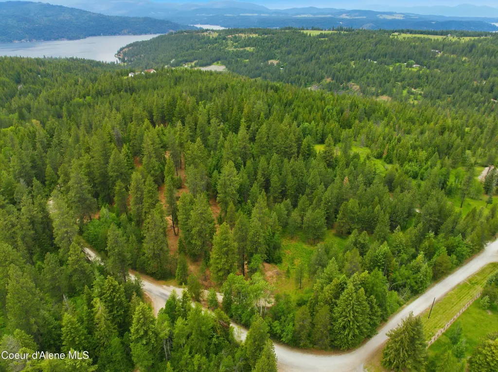 Parcel C S Dunlap Road Harrison ID 83833