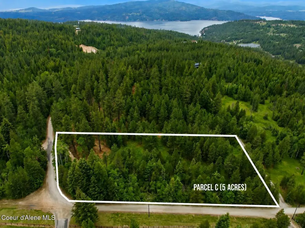 Parcel C S Dunlap Road Harrison ID 83833
