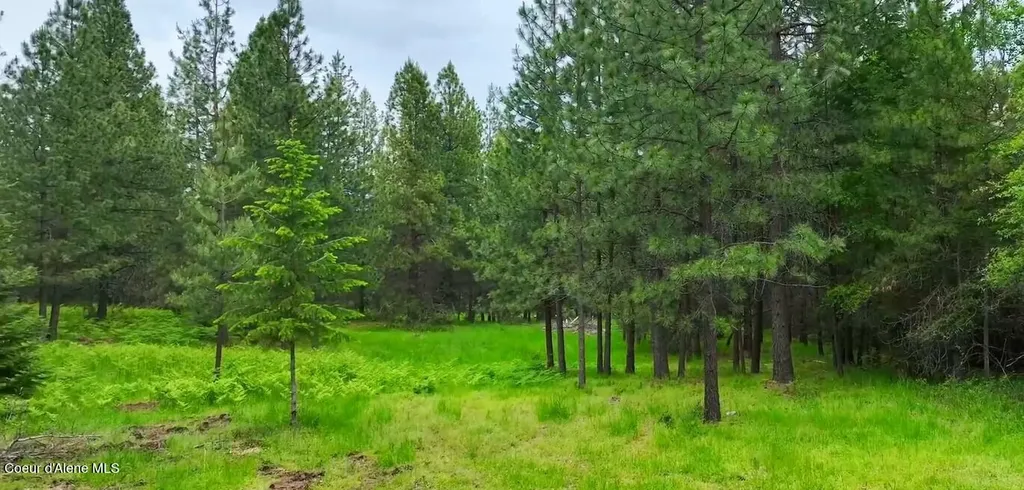 Parcel C S Dunlap Road Harrison ID 83833