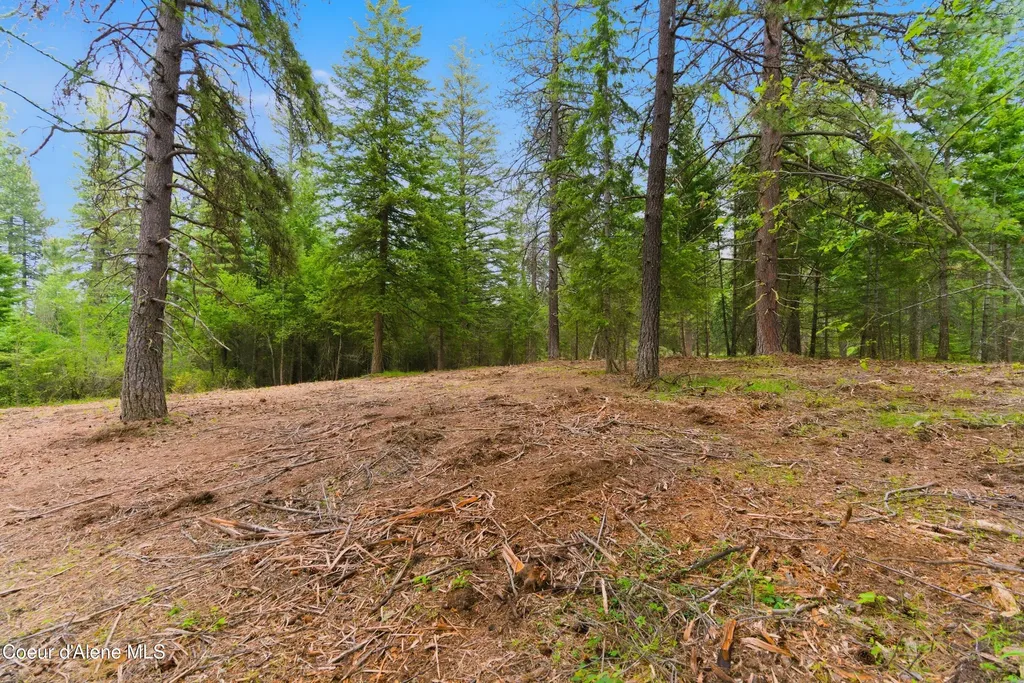 Parcel C S Dunlap Road Harrison ID 83833