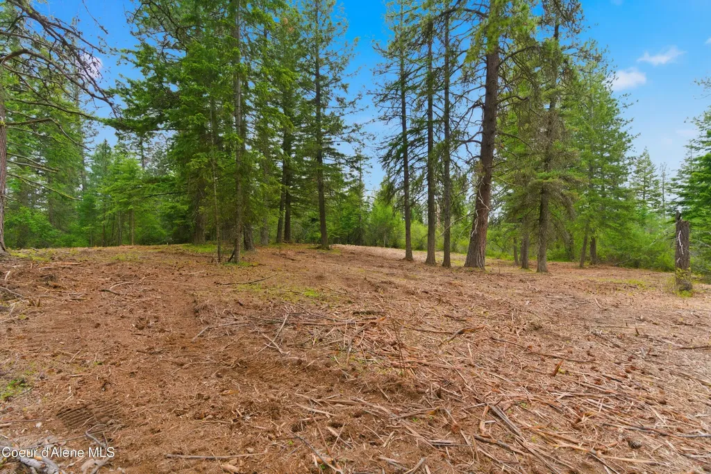 Parcel C S Dunlap Road Harrison ID 83833
