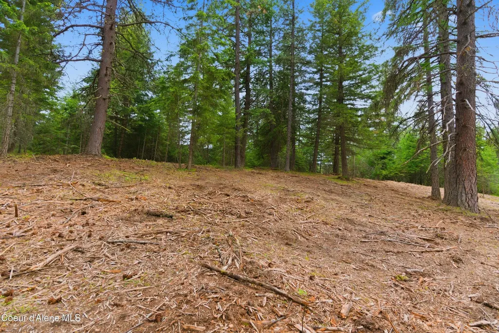 Parcel C S Dunlap Road Harrison ID 83833