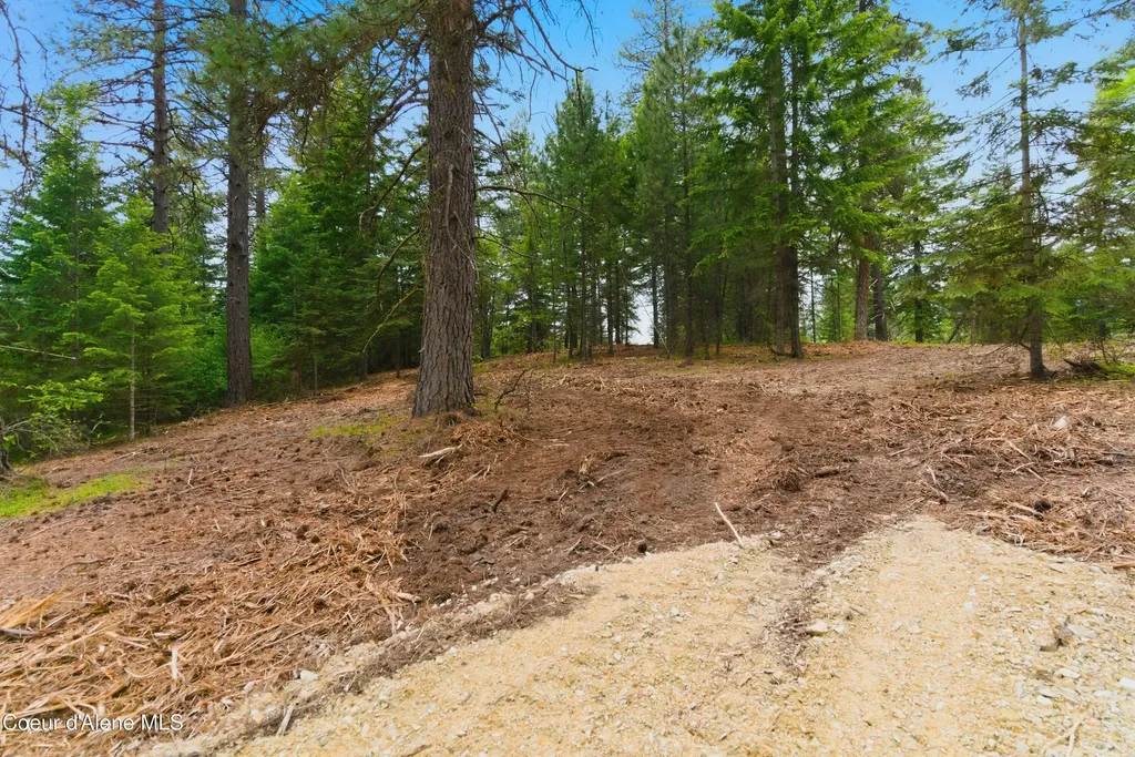 Parcel B S Dunlap Road Harrison ID 83833
