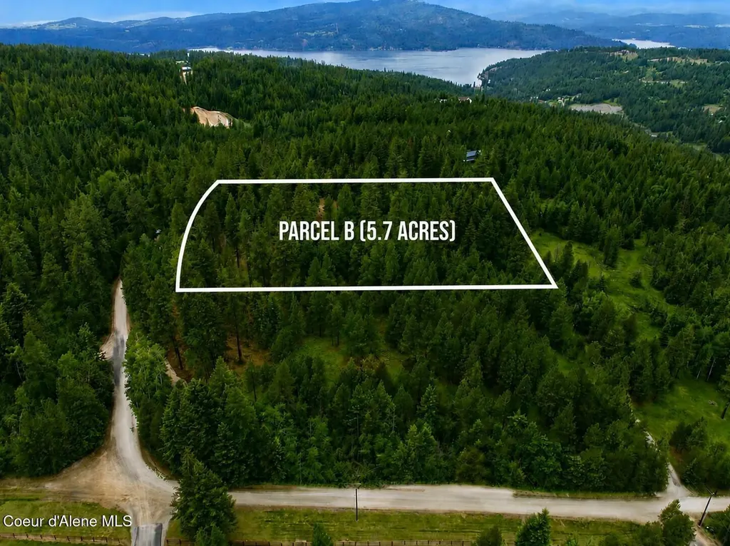 Parcel B S Dunlap Road Harrison ID 83833