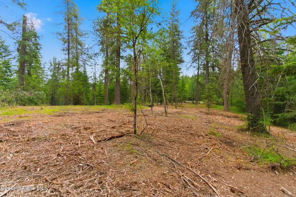 Parcel B S Dunlap Road Harrison ID 83833