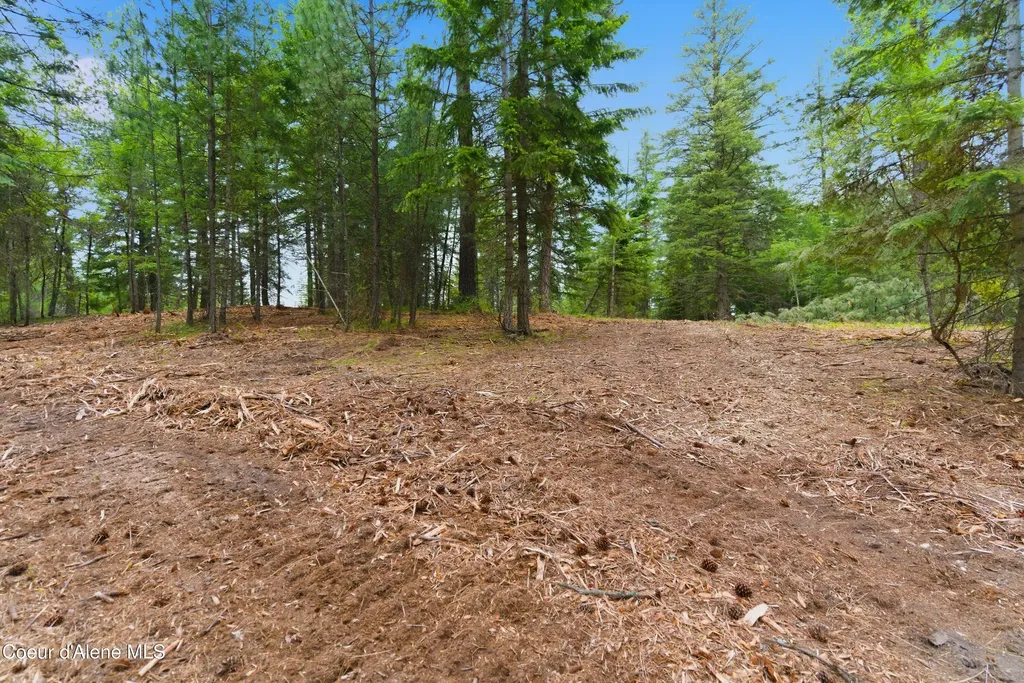 Parcel B S Dunlap Road Harrison ID 83833