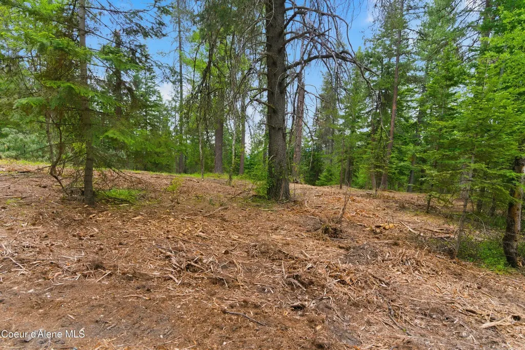Parcel B S Dunlap Road Harrison ID 83833