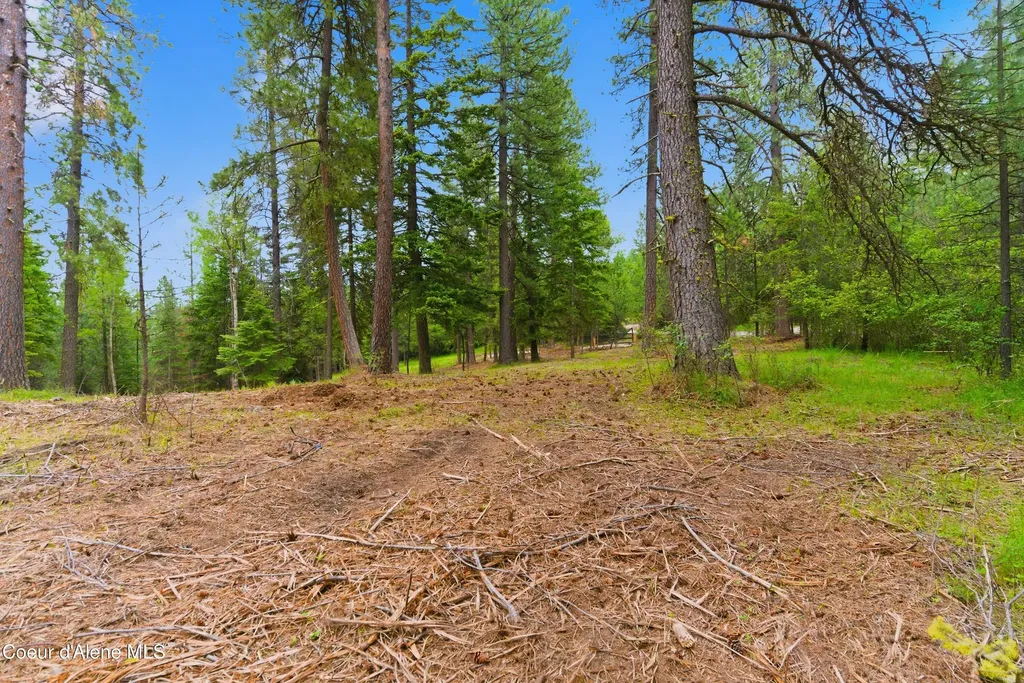 Parcel B S Dunlap Road Harrison ID 83833