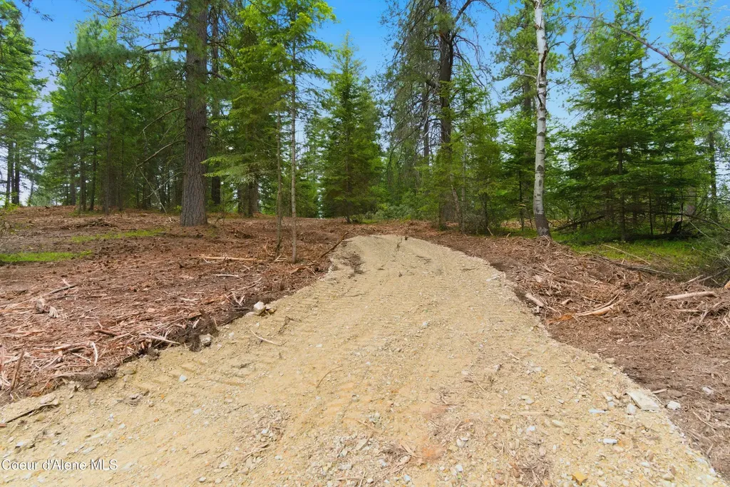 Parcel B S Dunlap Road Harrison ID 83833