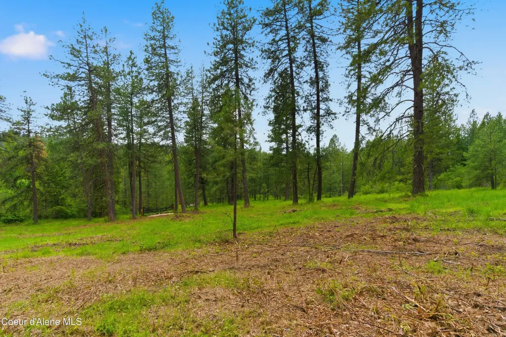 Parcel A S Dunlap Road Harrison ID 83833