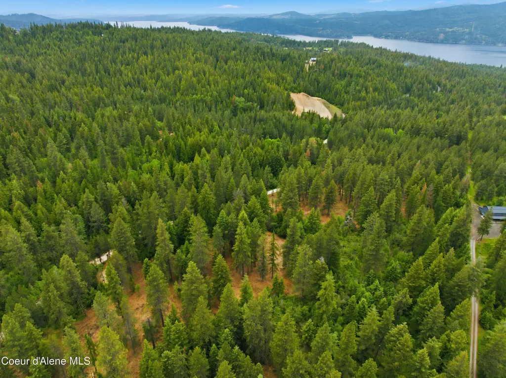 Parcel A S Dunlap Road Harrison ID 83833