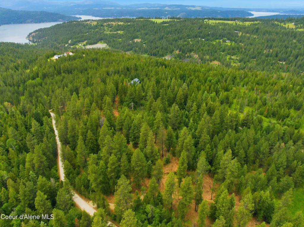 Parcel A S Dunlap Road Harrison ID 83833