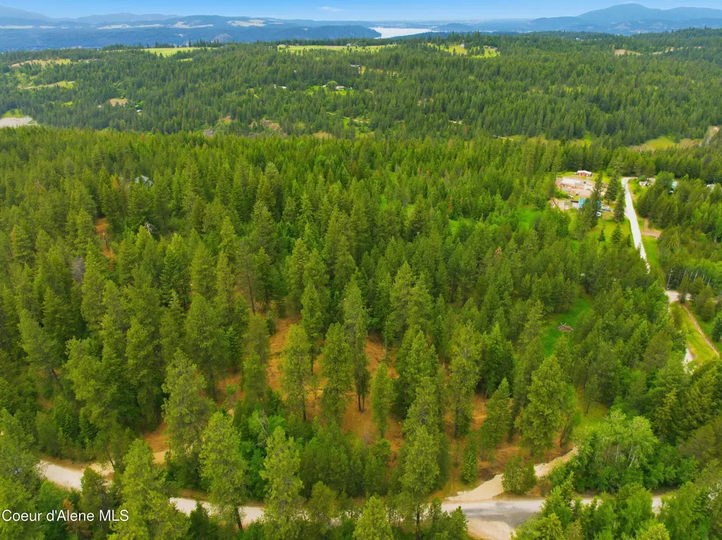 Parcel A S Dunlap Road Harrison ID 83833