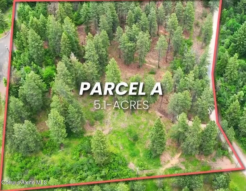 Parcel A S Dunlap Road Harrison ID 83833