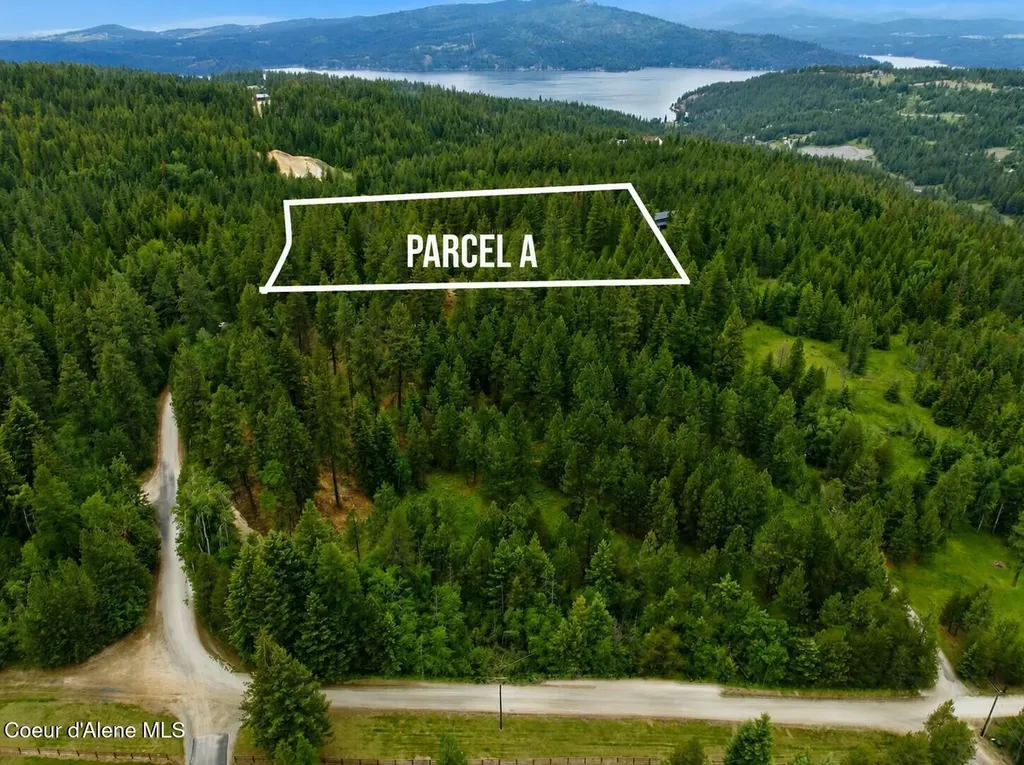 Parcel A S Dunlap Road Harrison ID 83833