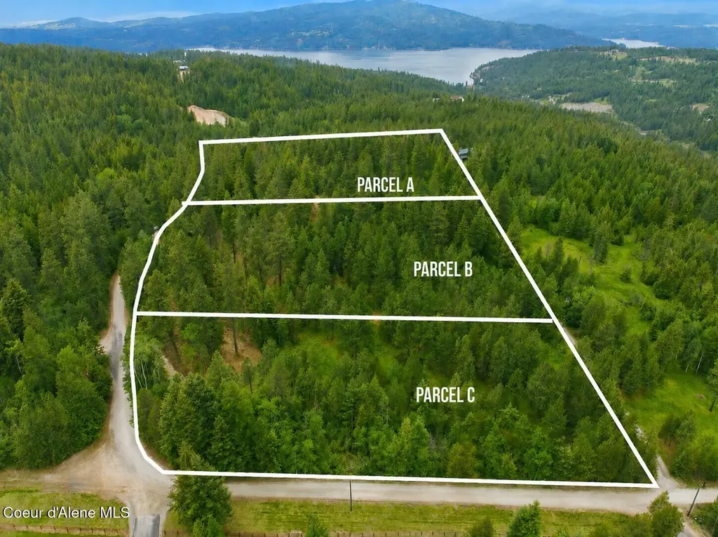 Parcel A S Dunlap Road Harrison ID 83833